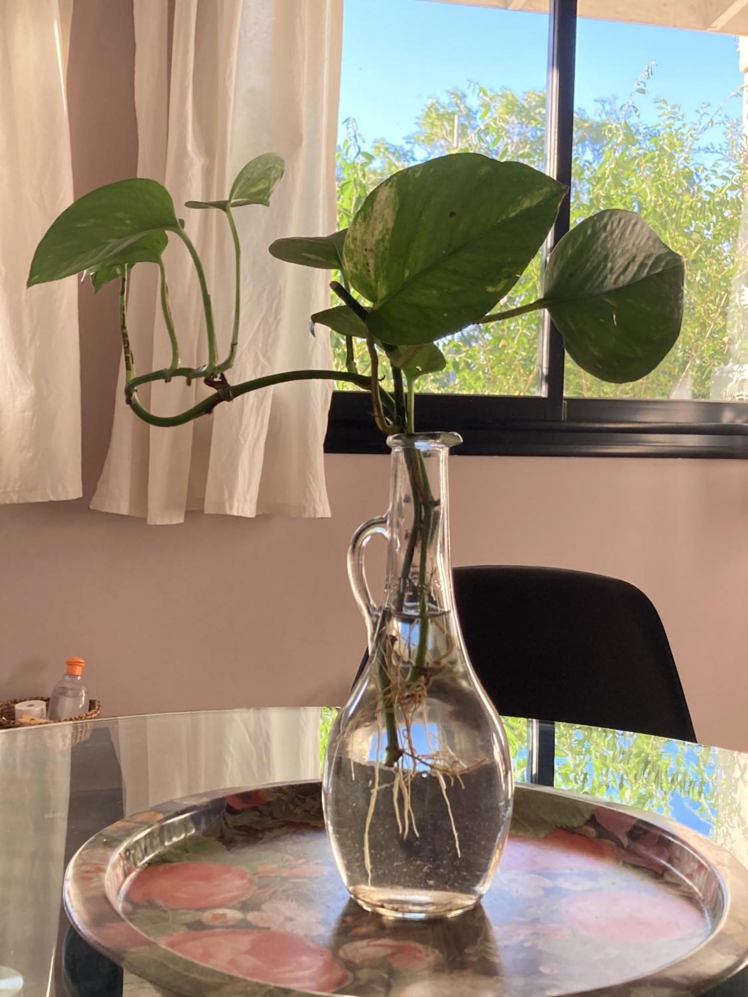 1991 D4 Ensenada Berisso